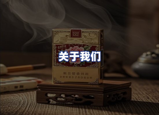 专业团队